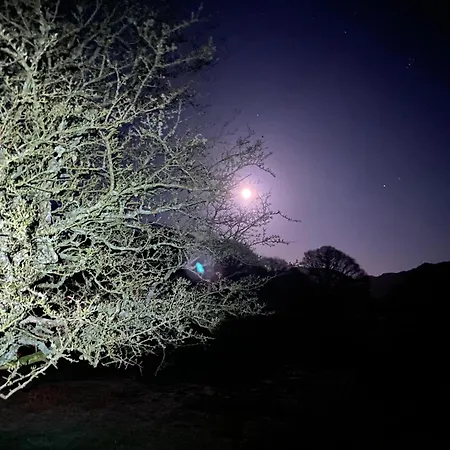 Campsite Cosy Glamping In The Valley - And Mega Pods *