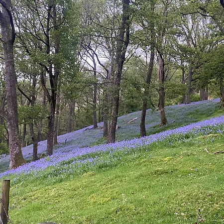 Campsite Cosy Glamping In The Valley - And Mega Pods Eskdale