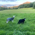 Camping Cosy Glamping In The Valley - And Mega Pods Eskdale