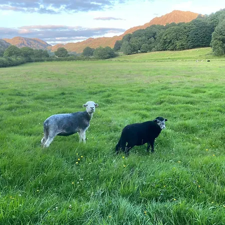 Camping Cosy Glamping In The Valley - And Mega Pods Eskdale