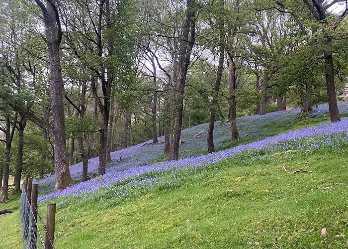 مكان تخييم Cosy Glamping In The Valley - And Mega Pods إسكاديل