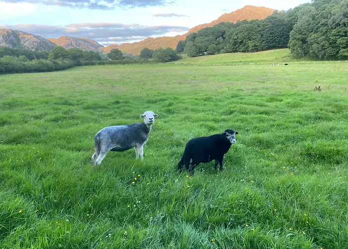 مكان تخييم Cosy Glamping In The Valley - And Mega Pods إسكاديل